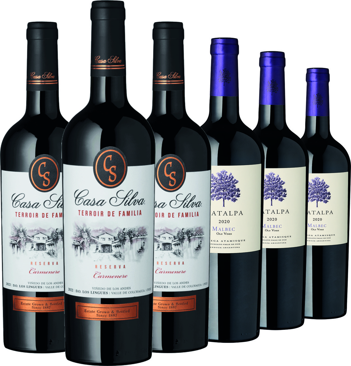 Weinpaket Malbec VS Carmenere
