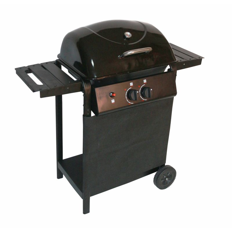 Gasgrill 2 flammig