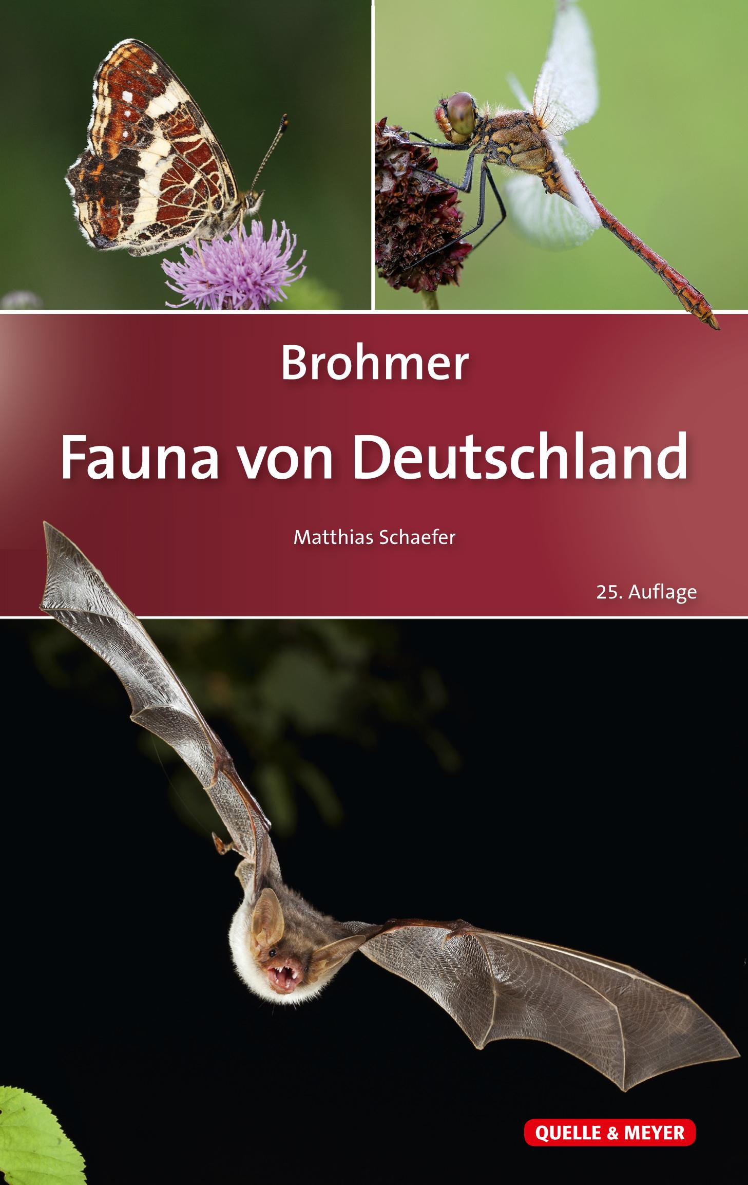 Brohmer - Fauna von Deutschland Ein Bestimmungsbuch unserer heimischen Tierwelt