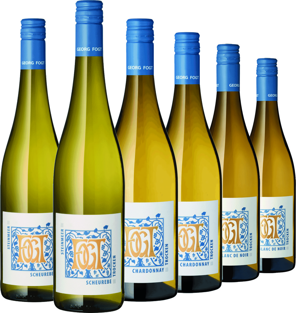 Weinpaket Neuer Jahrgang 2024